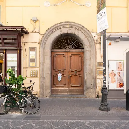 The Roof With Sea View